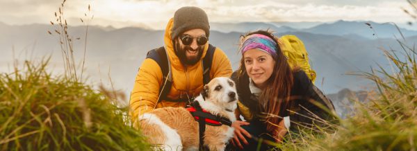 Travelling with Pets