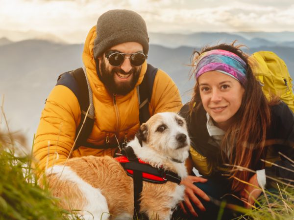 Travelling with Pets